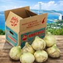 淡路島ほんまもんたまねぎ新玉(極早生種)約3kg　