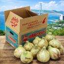 淡路島ほんまもんたまねぎ新玉(極早生種)約5kg　