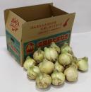 【先行予約】淡路島ほんまもんたまねぎ　新玉七宝早生約10kg入り　　地元農家イチオシ!!