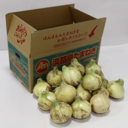 淡路島ほんまもんたまねぎ　新玉七宝早生約10kg入り　　地元農家イチオシ!!　完売