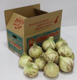 淡路島ほんまもんたまねぎ　新玉七宝早生約5kg入り　　地元農家イチオシ!!　完売