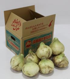 淡路島ほんまもんたまねぎ　新玉七宝早生約3kg入り　　地元農家イチオシ!!　完売